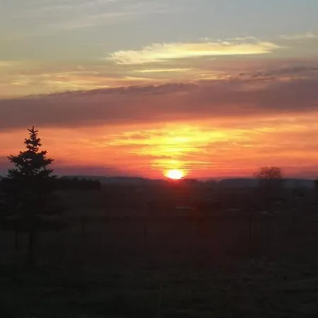 Renken * Trassenheide