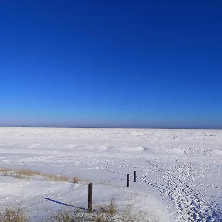 Renken * Trassenheide